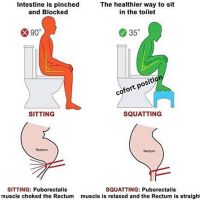 correct position for toilet