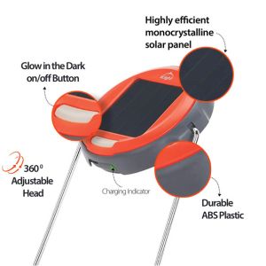 Solar Study lamp