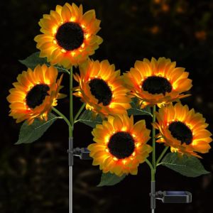 Sunflowers to plant in the garden