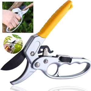 Gardening Scissors for plant