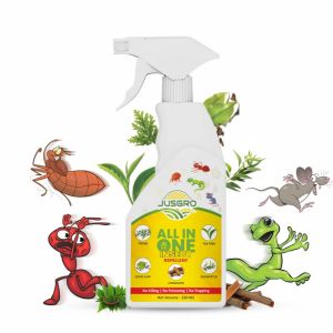 natural insect killer